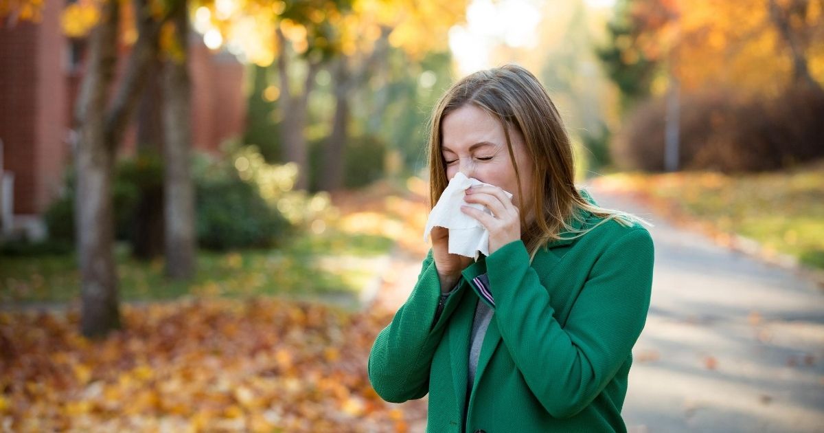 Prevent The Sneeze By Preparing For Fall Allergies Marlo Blog 